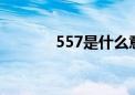 557是什么意思（5530主题）