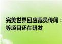 完美世界回应裁员传闻：人员调整一直在进行 《一拳超人》等项目还在研发