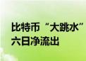 比特币“大跳水”跌破6.2万！相关ETF连续六日净流出