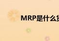 MRP是什么货币（mrp是什么）