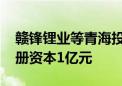 赣锋锂业等青海投资成立新能源科技公司 注册资本1亿元