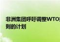 非洲集团呼吁调整WTO规则 下月将提交修订绿色工业化规则的计划