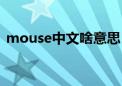 mouse中文啥意思（mouse什么意思中文）