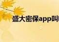 盛大密保app叫啥（盛大密宝多少钱）