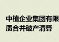 中植企业集团有限公司等248家企业被申请实质合并破产清算