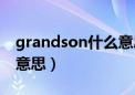 grandson什么意思怎么读（grandson什么意思）