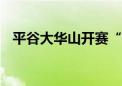 平谷大华山开赛“甜桃王” 最高甜度23.9