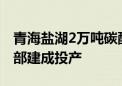 青海盐湖2万吨碳酸锂项目太阳能供热工程全部建成投产