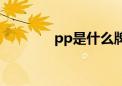 pp是什么牌子（pp是什么）