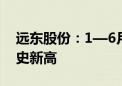 远东股份：1—6月千万元以上合同订单创历史新高