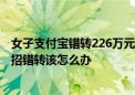 女子支付宝错转226万元陌生阿姨全退回 网友点赞：官方支招错转该怎么办