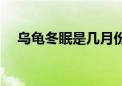 乌龟冬眠是几月份到几月份（乌龟冬眠）