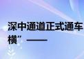 深中通道正式通车！数读黄金内湾的关键一“横”——