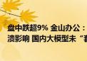 盘中跌超9% 金山办公：（股价）会受到上周五WPS系统崩溃影响 国内大模型未“套壳”OpenAI