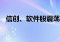 信创、软件股震荡走低 中望软件跌超13%