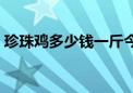 珍珠鸡多少钱一斤今日（珍珠鸡多少钱一斤）