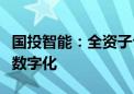 国投智能：全资子公司江苏税软业务涵盖财税数字化