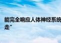 能完全响应人体神经系统 神经义肢接口让患者恢复“仿生行走”