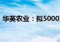 华英农业：拟5000万元-1亿元回购公司股份