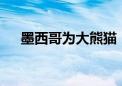 墨西哥为大熊猫“欣欣”庆祝34岁生日