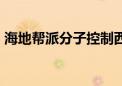 海地帮派分子控制西部省一地 造成25人死亡