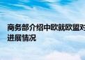 商务部介绍中欧就欧盟对华电动汽车反补贴调查案启动磋商进展情况