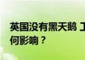 英国没有黑天鹅 工党胜选无悬念 资本市场如何影响？