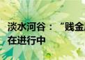 淡水河谷：“贱金属”公司首席执行官任命仍在进行中