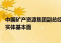 中国矿产资源集团副总经理：当前铁矿石指数价格时常偏离实体基本面