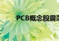 PCB概念股震荡拉升 世运电路涨停