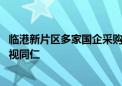 临港新片区多家国企采购特斯拉车辆 优化营商环境内外资一视同仁