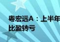 粤宏远A：上半年预亏500万元-900万元 同比盈转亏