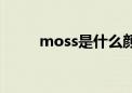 moss是什么颜色（moss是什么）