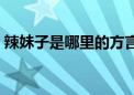 辣妹子是哪里的方言（辣妹子说的是哪个省）