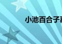 小池百合子再连任东京都知事