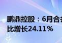 鹏鼎控股：6月合并营业收入为21.17亿元 同比增长24.11%