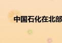 中国石化在北部湾盆地 获高产油气井