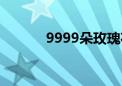 9999朵玫瑰花（9999朵玫瑰）