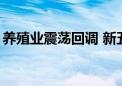 养殖业震荡回调 新五丰、巨星农牧均跌近5%