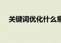 关键词优化什么意思（关键词优化怎样）