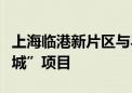 上海临港新片区与马来西亚赛城启动“数字双城”项目