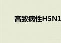 高致病性H5N1禽流感传播特征揭示