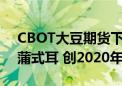 CBOT大豆期货下跌3% 现报1095.75美分/蒲式耳 创2020年11月以来新低