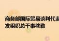 商务部国际贸易谈判代表兼副部长王受文在京会见联合国工发组织总干事穆勒