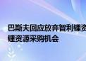 巴斯夫回应放弃智利锂资源投资计划：公司定期评估可能的锂资源采购机会