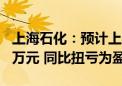 上海石化：预计上半年净利2457万元到3685万元 同比扭亏为盈