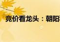 竞价看龙头：朝阳科技一字涨停晋级4连板