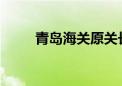 青岛海关原关长贺水山被开除党籍