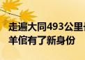 走遍大同493公里长城的公益大使袁建琴：牛羊倌有了新身份