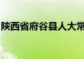 陕西省府谷县人大常委会原主任王乃延被逮捕